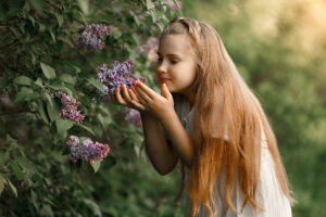 Очаровательный запах сирени